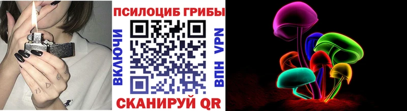 Псилоцибиновые грибы Psilocybe наркотики Ясный