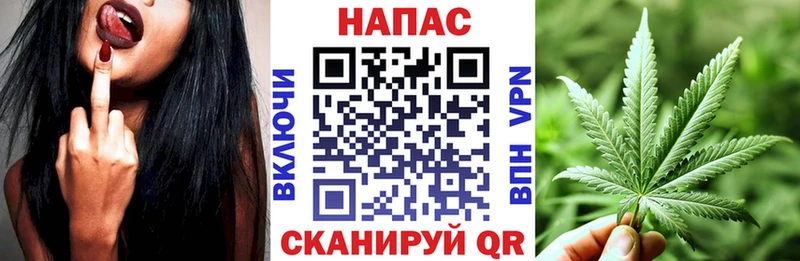 Бошки Шишки планчик  Ясный 